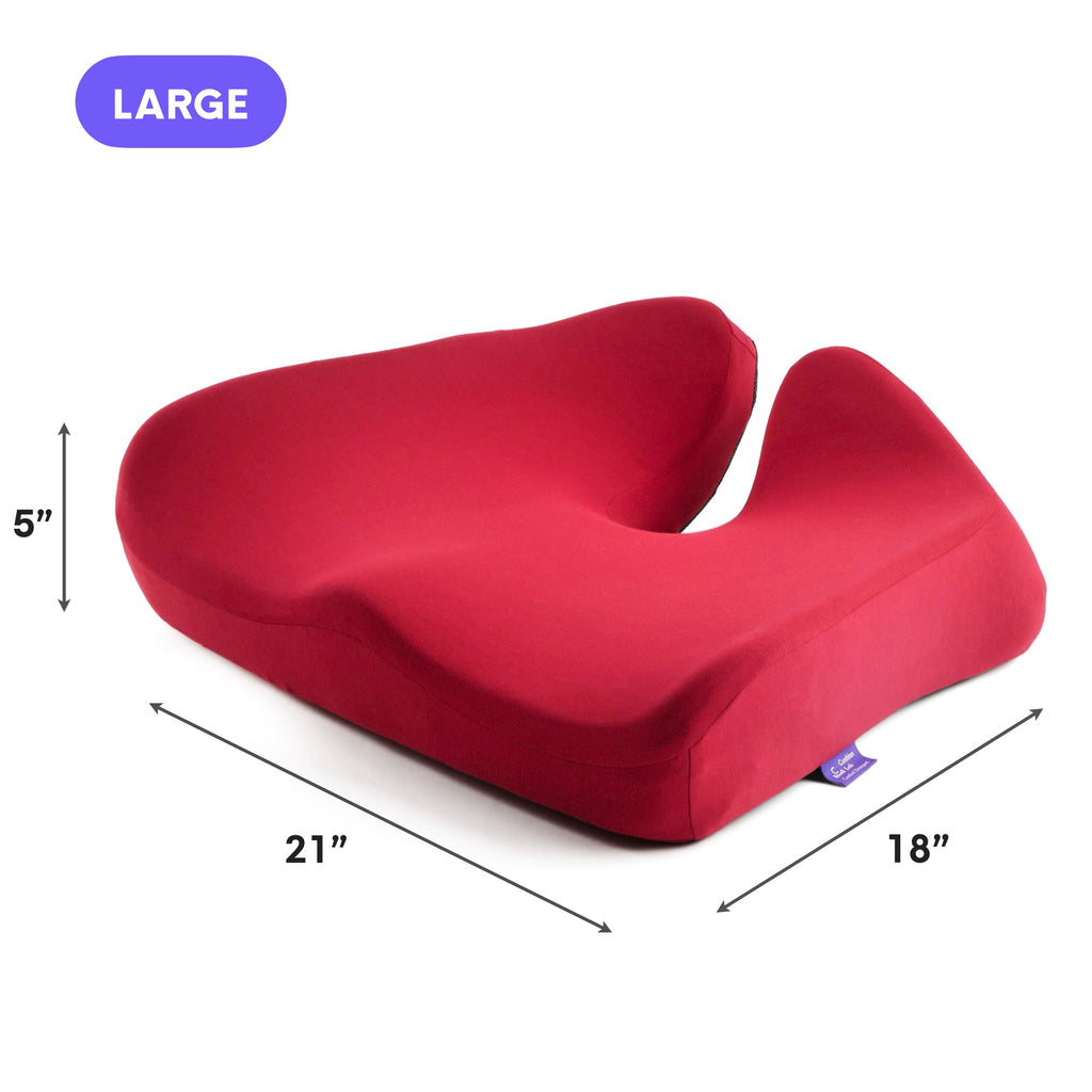 DayCloud" Ergonomic Lumbar Seat Cushion