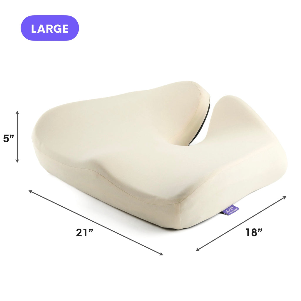 DayCloud" Ergonomic Lumbar Seat Cushion