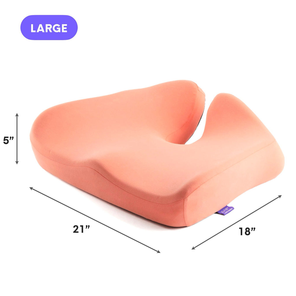 DayCloud" Ergonomic Lumbar Seat Cushion