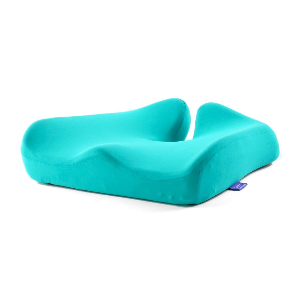 DayCloud" Ergonomic Lumbar Seat Cushion